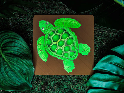 Turtle Puzzle