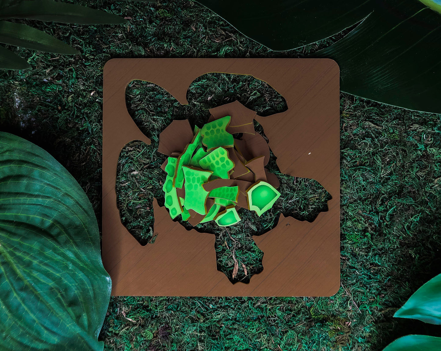 Turtle Puzzle