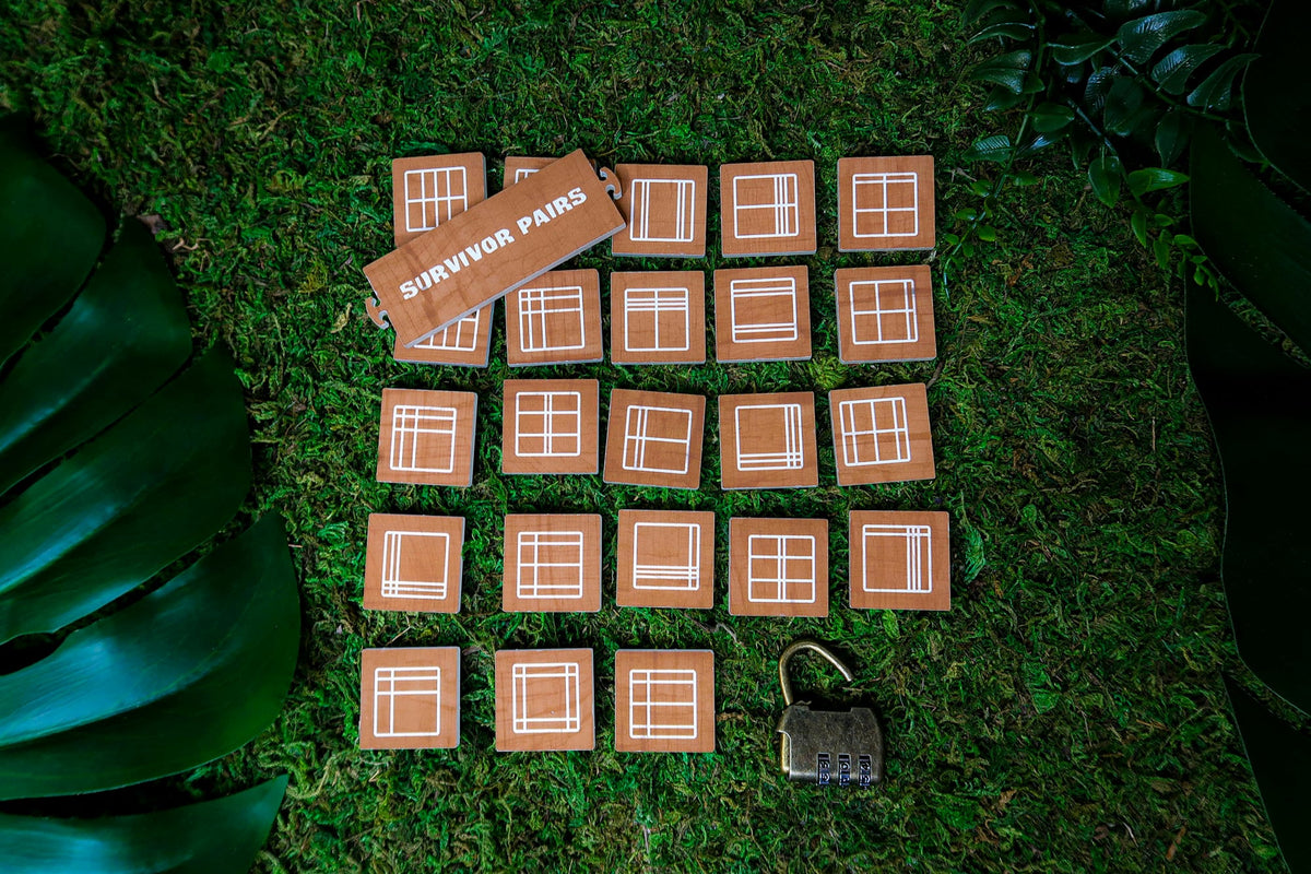 Pairs and Lock Puzzle