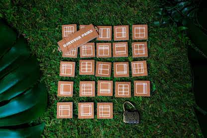 Pairs and Lock Puzzle