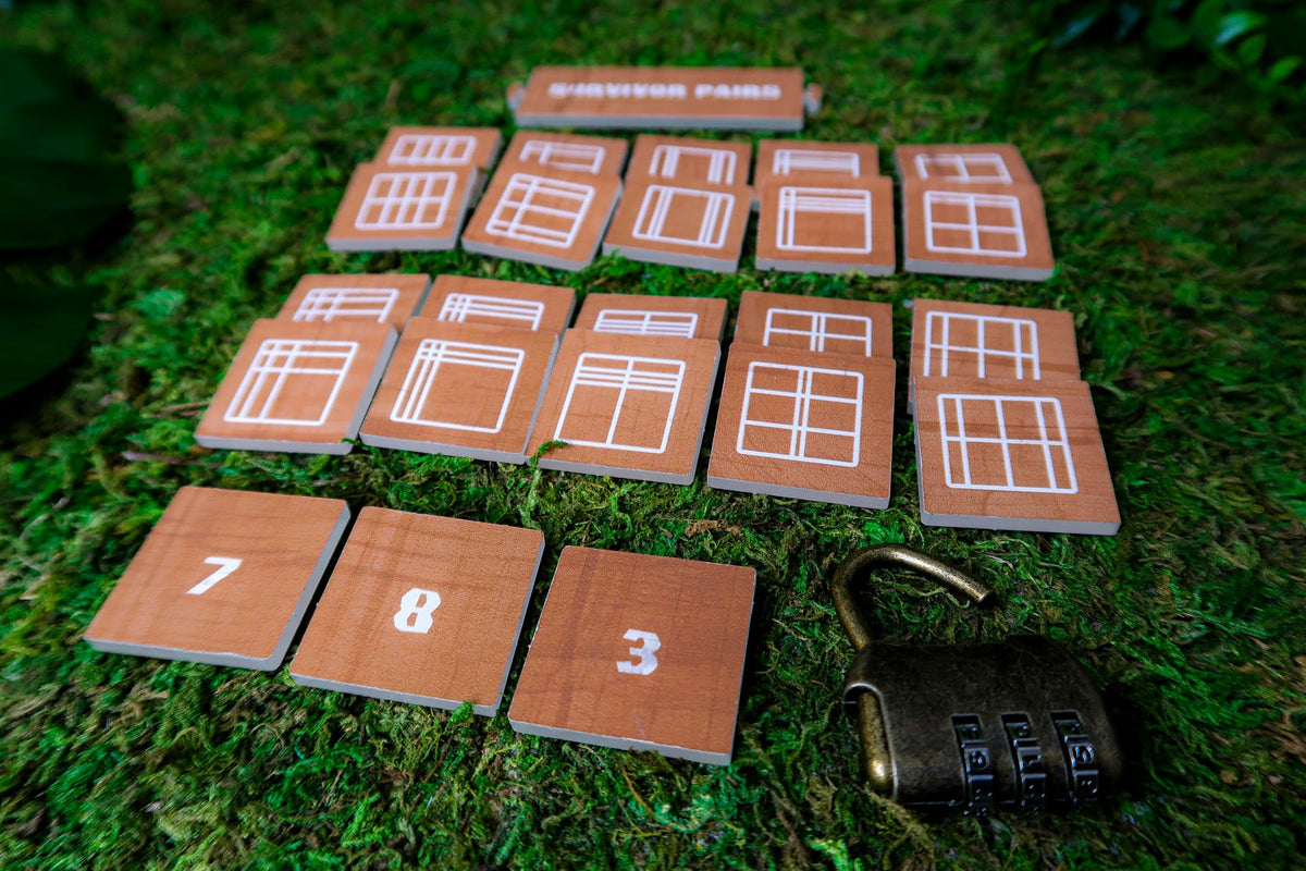 Pairs and Lock Puzzle