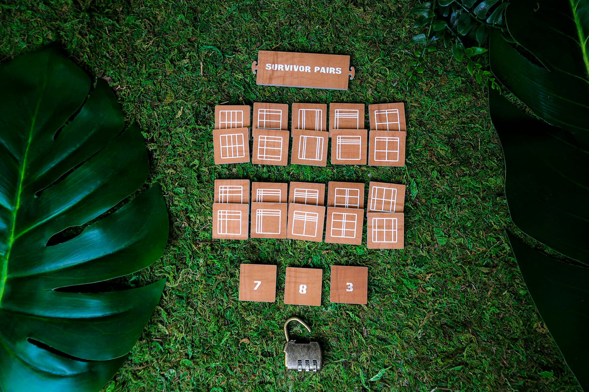 Pairs and Lock Puzzle