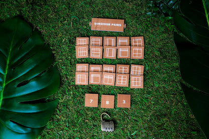 Pairs and Lock Puzzle