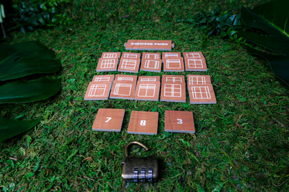Pairs and Lock Puzzle