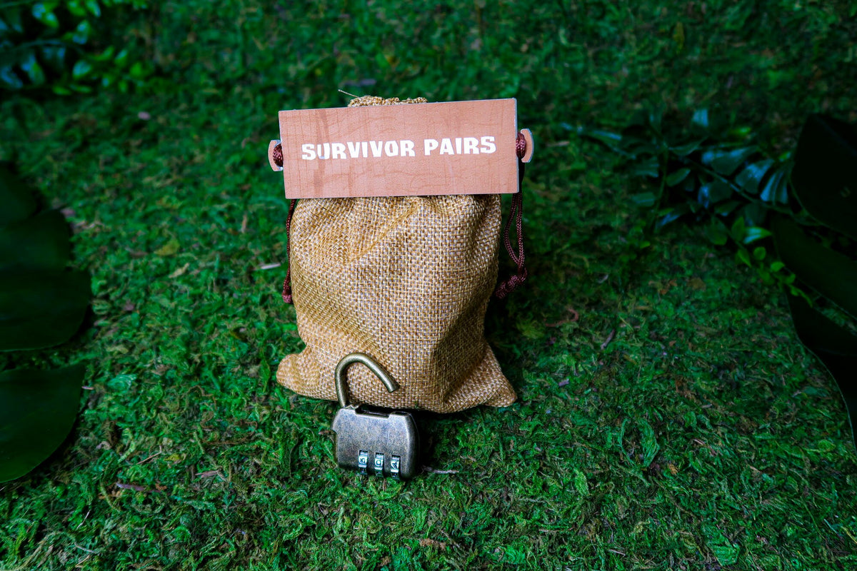Pairs and Lock Puzzle