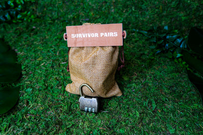Pairs and Lock Puzzle